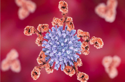 终于能治愈艾滋病了 美科学家取得巨大突破 杀死31％HIV突变类型