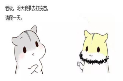 漫画：什么是快速排序？