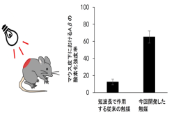 日本开发出能减少大脑内β淀粉样肽的光触媒