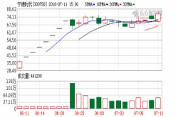 新力金融开启年内二次重组欲揽两家IPO后备役公司