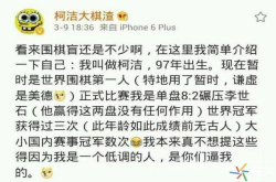 柯洁和AlphaGo曾经的对战前瞻