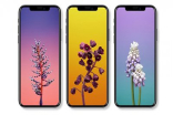 iPhoneXFaceID功能截图曝光！加长了的Power键作用公开