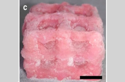 3D打印新技术：用复合凝胶打印脑样组织