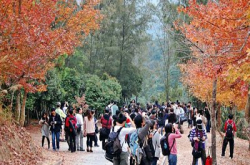 推介行山路线，会否造成更多“鹤咀”效应，吸引过量人潮引致景点受破坏？