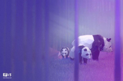 Win10主题包《Remix3DAnimals》下载