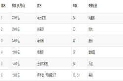 理想是当老师 父亲是包工头 36岁阴差阳错成中国女首富