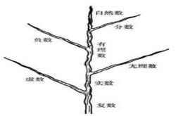 各种数的由来 真是神奇又有趣