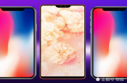异形全面屏的概念版坚果Pro3对比iPhoneX