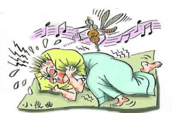 比尔盖茨愿斥巨资培育转基因雄蚊 以此消灭蚊子 引科学界轰动