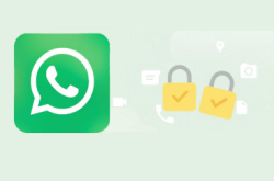WhatsApp 微信：WhatsApp怎么用？Whatsapp双重认证