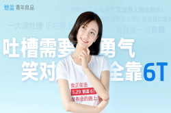5月29魅蓝6T发布 绒毛版＋MTK百元机能成千元机？