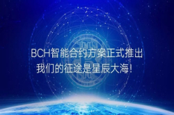 BCH智能合约方案正式推出 我们的征途是星辰大海