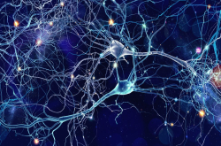 模拟人脑科学家正在研发人工突触装置来测试AI极限