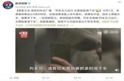 假期首日乘客太多 列车无力运行