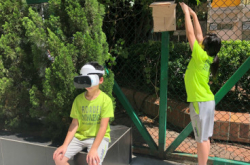 今翅VR可观鸟
