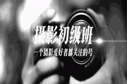 买佳能还是尼康、微单还是单反、长焦还是广角、纠结的你看看这里