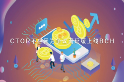 CTOR不应因为争议而延缓上线BCH