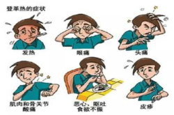 为了让蚊子彻底消失 科学家欲用基因改造技术摧毁它们