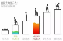 久坐必备 最贴心的护腰指南