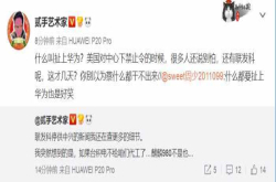 绝不是杞人忧天 假如台积电不给代工麒麟芯片华为肿么办？