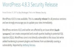 WordPress资料隐码漏洞可让骇客接管你的网站，现已释出更新