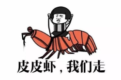 研究皮皮虾开发出自动驾驶汽车摄像头