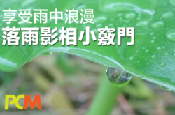 【落雨又有乜好怕㖞】落雨影相小窍门