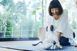 Sony发表新一代电子宠物aibo