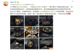 鹿晗生日东家vivo特制x21黑金礼盒庆生
