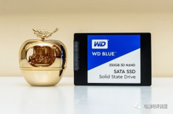 告别机械时代？WD蓝盘3D250G测试报告