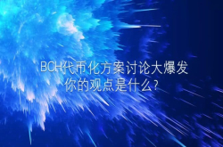 BCH代币化方案讨论大爆发 你的观点是什么？