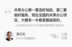 潘石屹：中国共享办公项目半数是孩子瞎胡闹