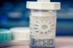 研究发现 向耳膜直接注入盐或糖溶液可以挽救听力损失
