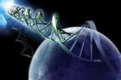 人类一直在寻找外星生命和外星人 但外星人为何一定是人呢？
