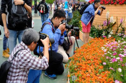 “心花放”花卉展览摄影活动花絮