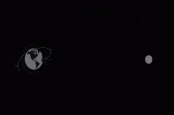 马斯克揭晓谜底 SpaceX大火箭将送日本富豪环月七日游