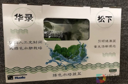 松下电器出产的蔬菜你见过没：具备无农药纯净水栽培等六大特色