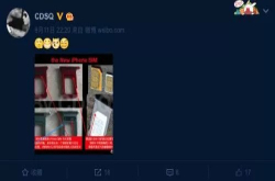 并非eSIM卡 6.1寸新iPhone将采用双实体SIM卡托