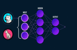 前沿|XNN：打开了自己黑箱的神经网络