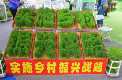 科技周现场的一股清流