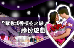 “海港城香槟树之恋”缘分游戏