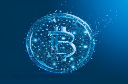 Wormhole：一种基于BitcoinCash的智能合约实现方案