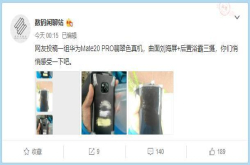 撞脸小米MIX2S翡翠色？华为Mate20翡翠色真机现身