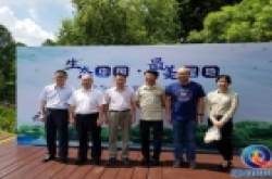 下半年发布：ivvi第二代裸眼3D手机助力UGC内容生产