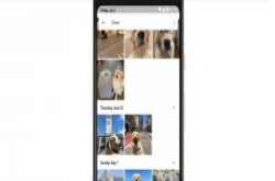 消费者控告GooglePhotos的人脸辨识侵犯隐私，法官驳回