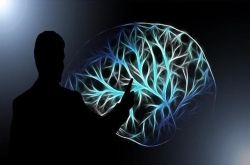 《科学警报》：人体肠道中发现第二个大脑