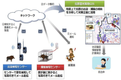 野猪捕获量提升5倍