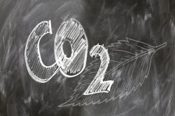 更少的生物燃料 更多的绿色空间 研究人员呼吁紧急转变