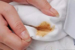 这件杨紫都在穿的T恤 疏水防污 还能防臭除异味