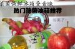 杀菌保鲜冰箱受青睐 2016年热门除菌冰箱推荐